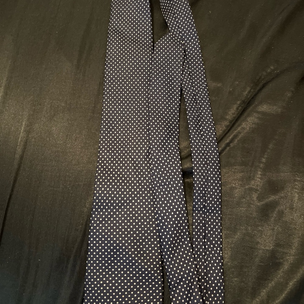 Elegant Navy and White Polka Dot Tie